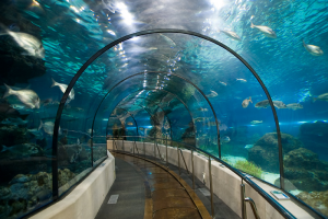 l'Aquarium de Barcelona